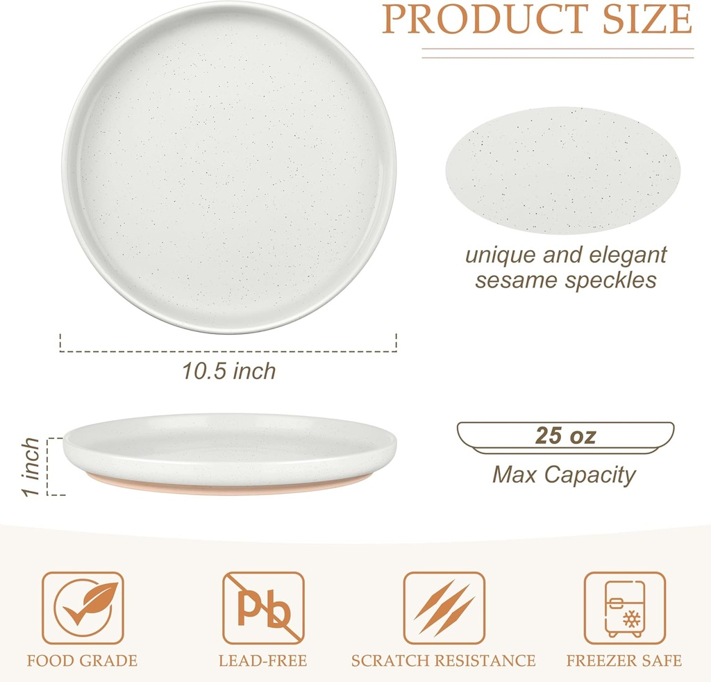 lianyu-stoneware-dinner-plates-set-of-6--2.jpg