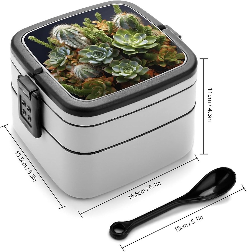cactus-multiflesh-bento-box-for-adults-d-2.jpg