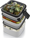 cactus-multiflesh-bento-box-for-adults-d-4.jpg