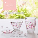 aderia-s-6317-haruiro-glass-pair-set-102-4.jpg