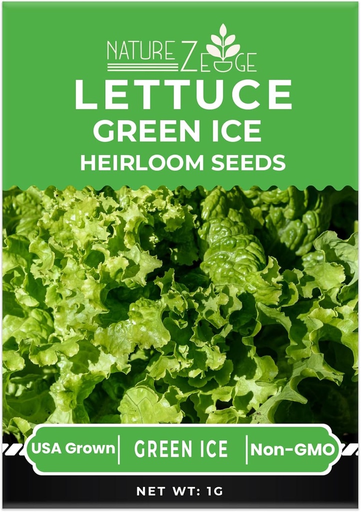 lettuce-seeds-for-planting-red-romaine-l-4.jpg
