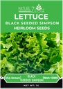 lettuce-seeds-for-planting-red-romaine-l-6.jpg