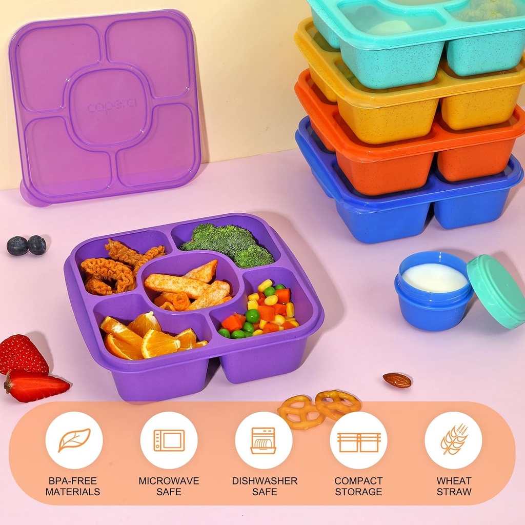 fancilla-adult-lunchable-container-5-pac-3.jpg