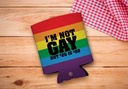 lbgtq-pride-gear-pride-flag-not-gay-2-pa-2.jpg