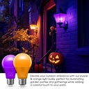 orange-purple-light-bulbs-2-pack-a19-led-3.jpg