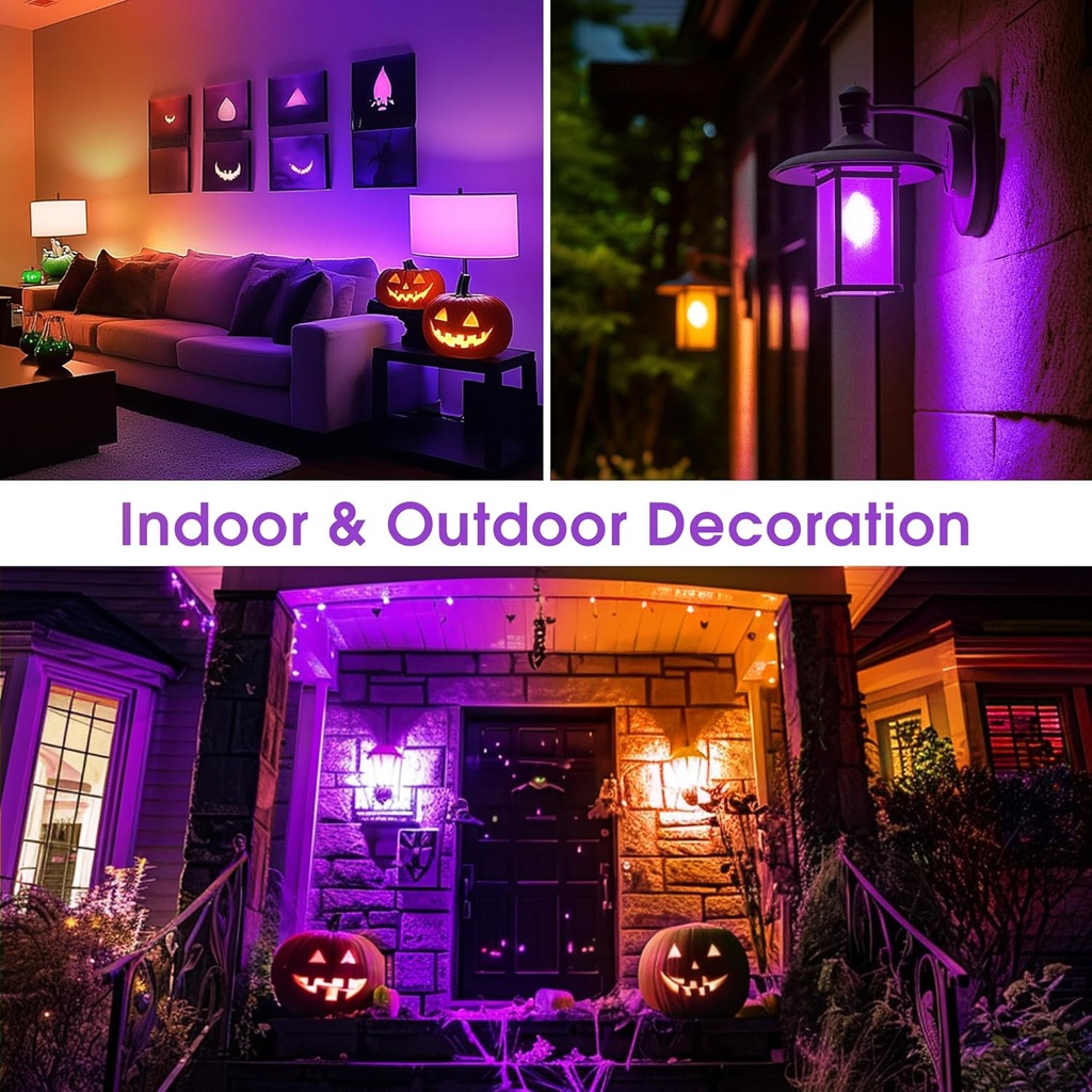 orange-purple-light-bulbs-2-pack-a19-led-6.jpg