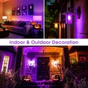 orange-purple-light-bulbs-2-pack-a19-led-6.jpg