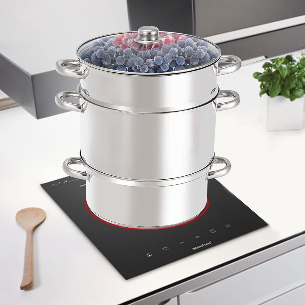 fruit-steam-juicer-stainless-steel-steam-6.jpg