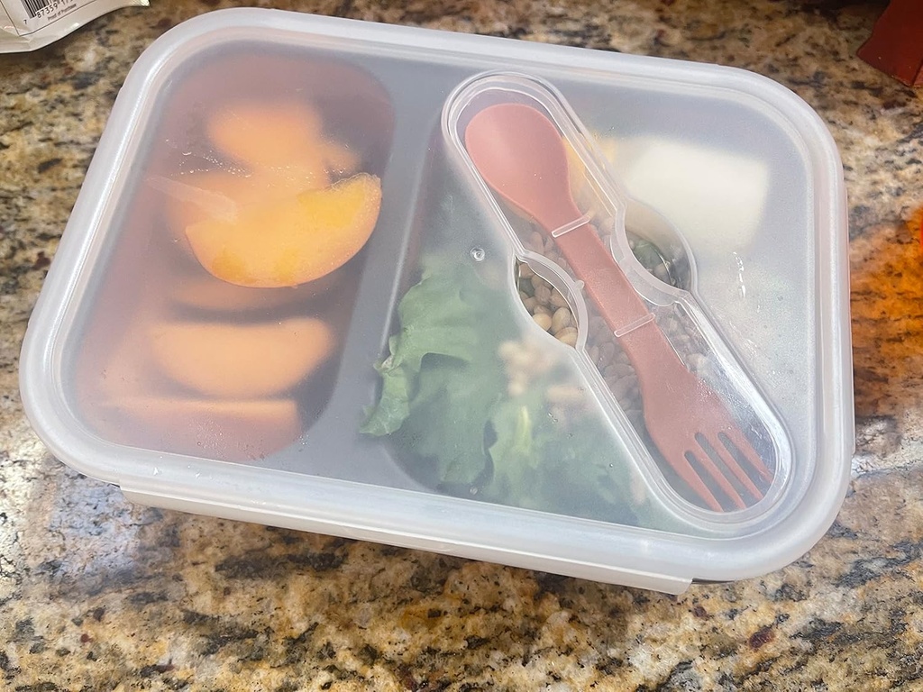 reusable-foldable-take-out-lunch-bento-b-5.jpg