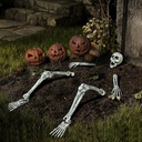 joyin-5-pcs-halloween-skeleton-decoratio-6.jpg
