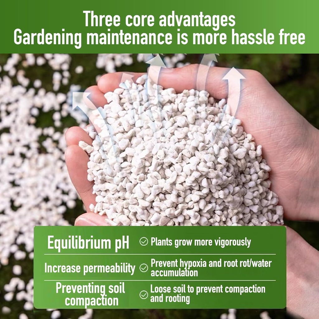 2qt-perlite-for-plants-organic-perlite-h-6.jpg