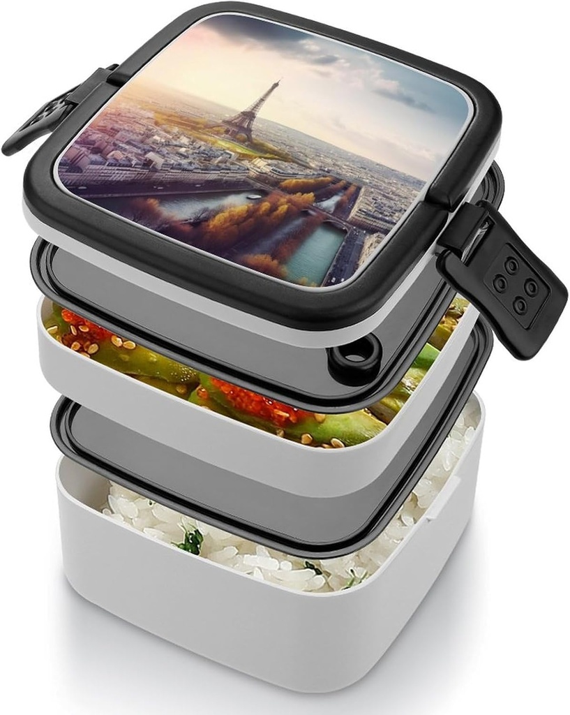 aerial-view-of-paris-cityscape-bento-box-4.jpg