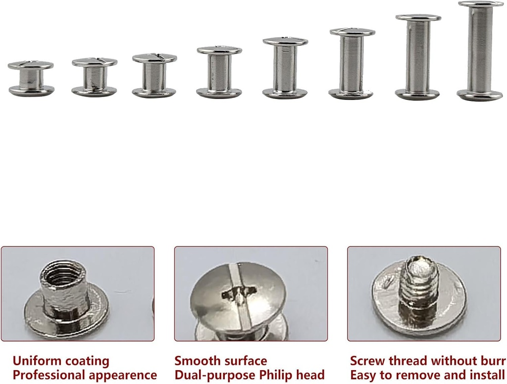 110-sets-silver-chicago-screws-assorted--3.jpg