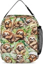 sloth-lunch-box---cute-reusable-sloth-lu-4.jpg