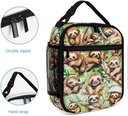 sloth-lunch-box---cute-reusable-sloth-lu-6.jpg