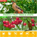 windyun-2-pcs-bird-netting-bird-net-chic-3.jpg