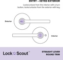 lock-scout-straight-lever-with-round-tri-2.jpg