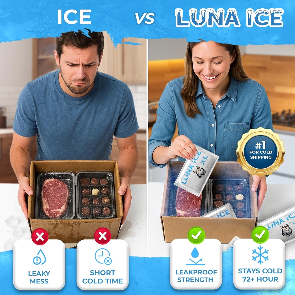 luna-ice-dry-ice-packs-for-shipping-xl---2.jpg