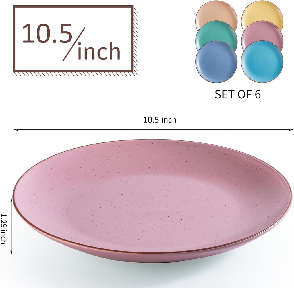 ceramic-dinner-plates-set---105-inch-lar-2.jpg