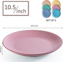 ceramic-dinner-plates-set---105-inch-lar-2.jpg