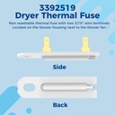 2025-upgraded-3392519-dryer-thermal-fuse-4.jpg