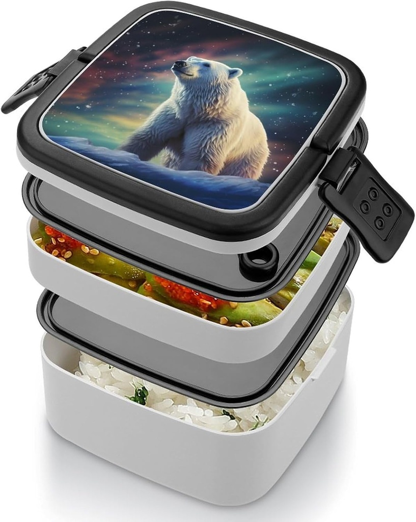 bento-box-for-adult-northern-lights-pola-5.jpg