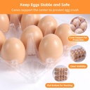 100-pack-3x4-plastic-egg-cartons-cheap-b-6.jpg