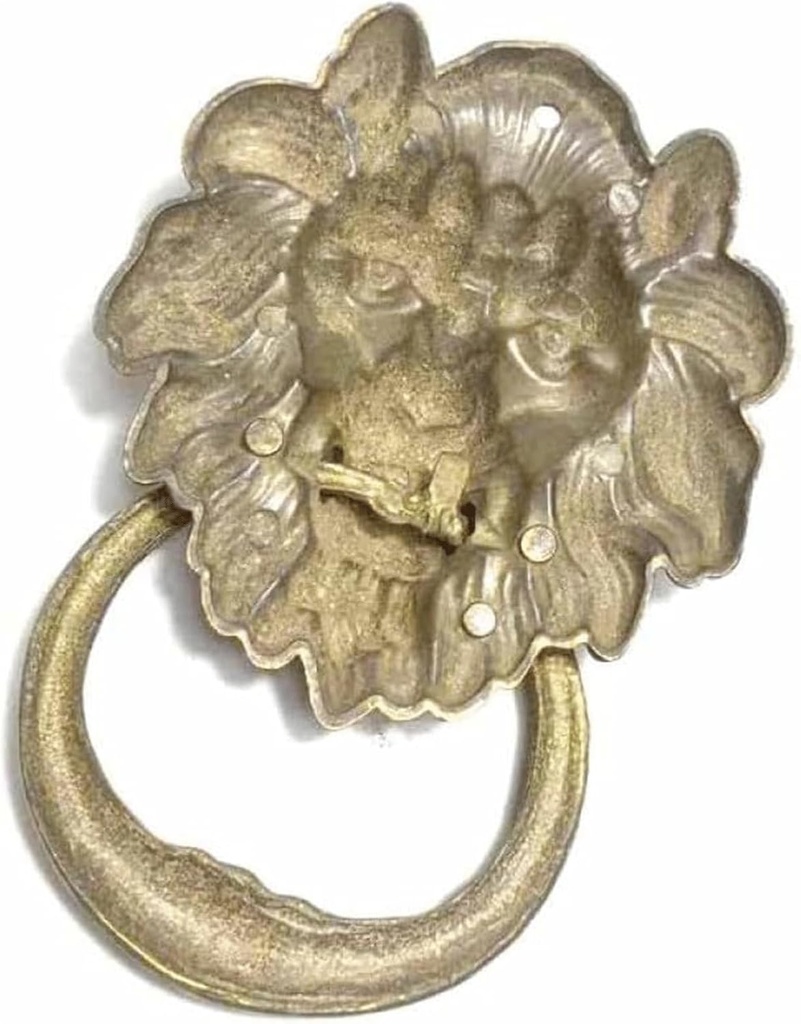 door-knocker-door-knocker-for-front-door-5.jpg