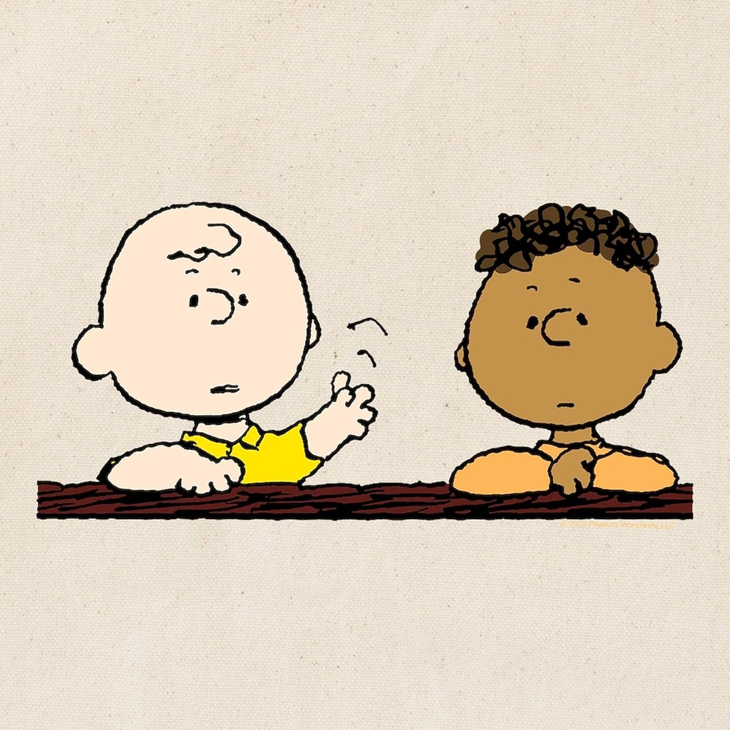 cafepress-peanuts-chuck-franklin-reusabl-2.jpg