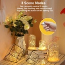 24-pack-fairy-lights-battery-operated-3--2.jpg