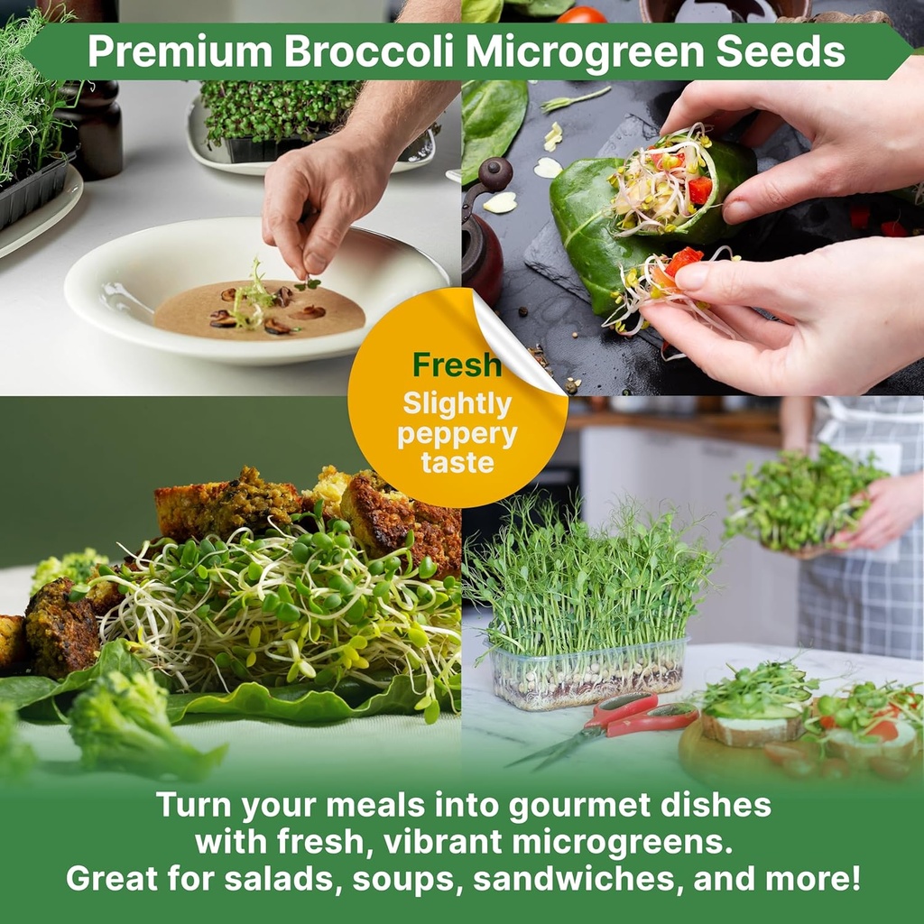 organo-republic-broccoli-sprouting-micro-5.jpg