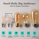 amdtu-40w-e12-frosted-globe-led-bulbs-27-2.jpg