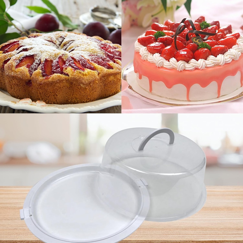lsandm-1-reusable-plastic-round-cake-con-4.jpg