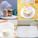 lsandm-1-reusable-plastic-round-cake-con-5.jpg