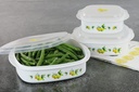 reston-lloyd-nesting-microwave-container-2.jpg