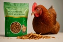 bulk-dried-mealworms-10lb-bag--premium-n-4.jpg