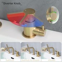 gold-roman-tub-faucet-with-sprayerdeck-m-3.jpg