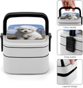 bichon-frise-dog-bento-box-for-adults-do-5.jpg