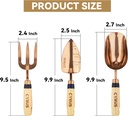 cyrus-garden-shovel-tool-set3-piece-gard-3.jpg