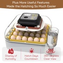 maticoopx-30-egg-incubator-with-humidity-6.jpg