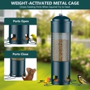 lcseven-bird-feeders-for-outdoors-squirr-2.jpg