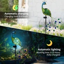 peacock-solar-garden-stake-lights-decora-2.jpg