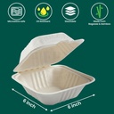 fpn-compostable-takeout-boxes-6x6-75-ct--2.jpg