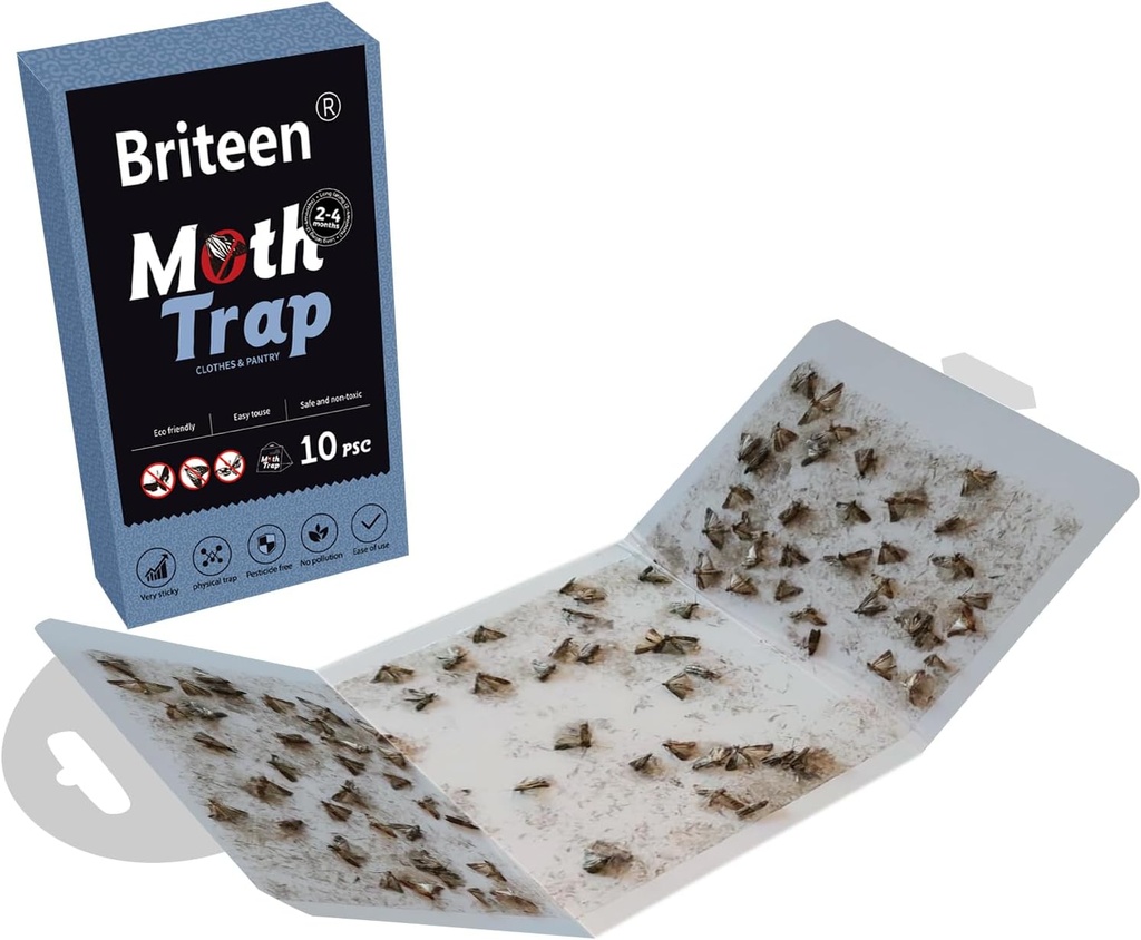 10-pack-pantry-moth-traps-safe-and-effec-4.jpg