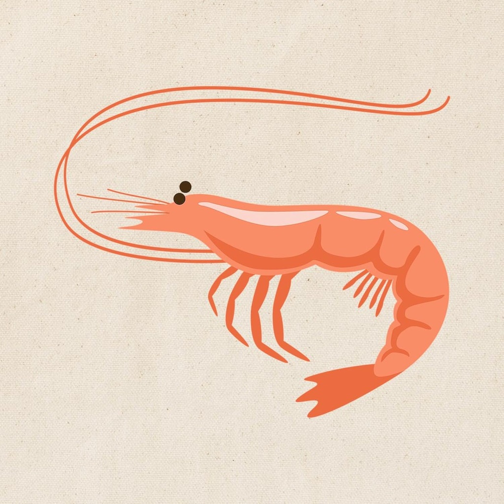 cafepress-prawn-shrimp-tote-bag-reusable-2.jpg