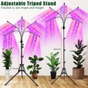 grow-lights-for-indoor-plants5-heads-red-6.jpg