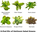 aerogarden-heirloom-salad-greens-mix-see-2.jpg