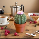 cactus-salt-and-pepper-shakers-3d-printe-5.jpg