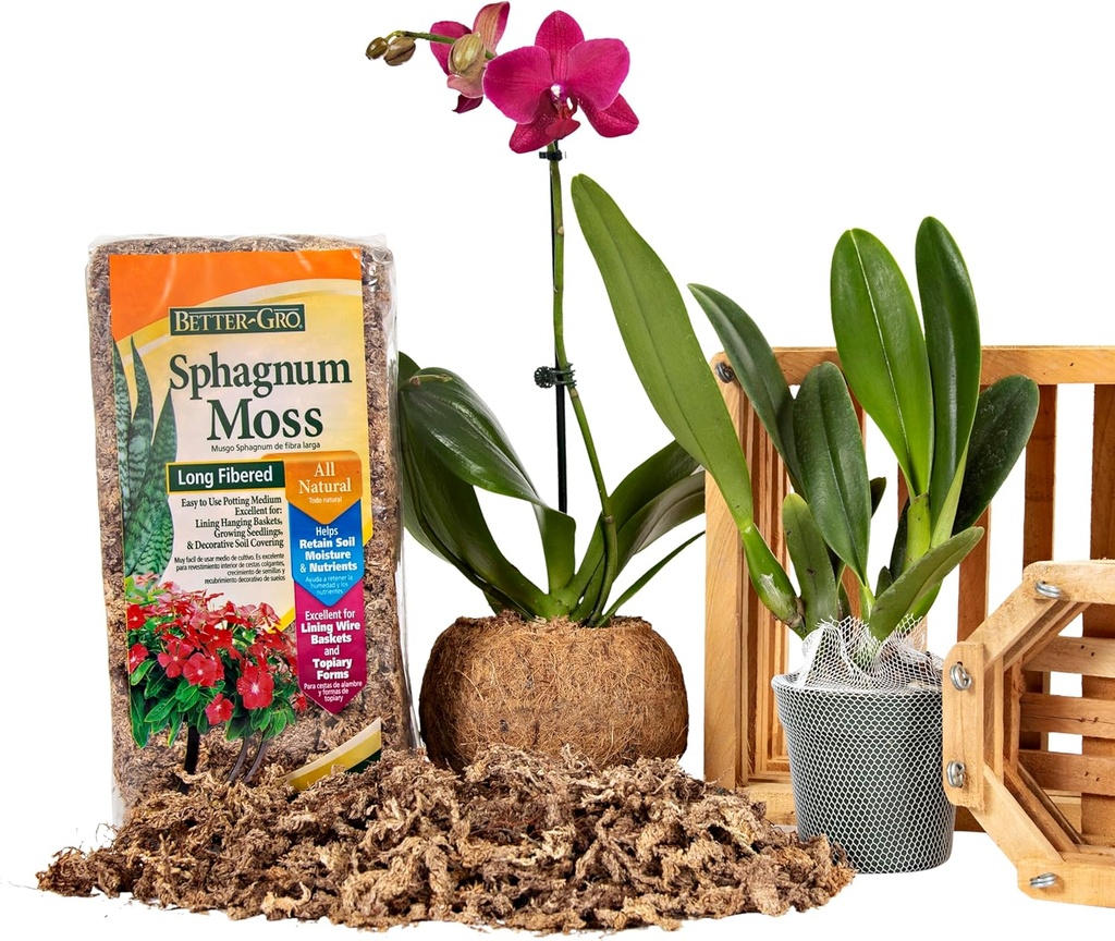 better-gro-sphagnum-moss---100-natural-l-4.jpg