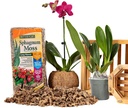 better-gro-sphagnum-moss---100-natural-l-4.jpg